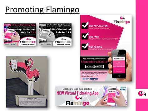 flamingo fares smart card tvm|flamingo tickets Tampa bay.